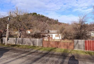 Casă cu 3 camere cu Teren 2632 Mp în Câmpuri - 1
