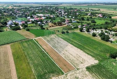 Teren de 1391 mp, în Biliești - 3