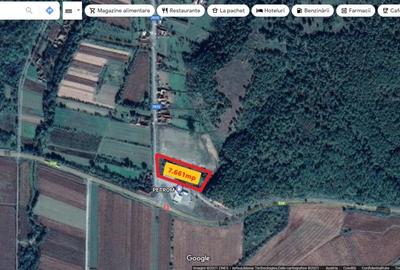 Teren Construcții intravilan de 7661 mp, în Vărădia de Mureș - 2