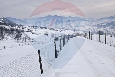 Teren de 4301 mp, în Bârsana - 2