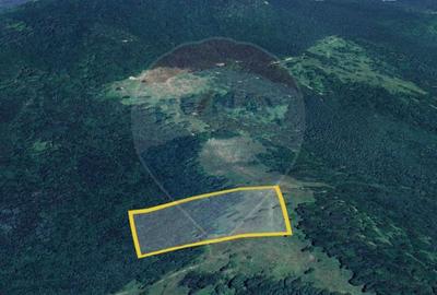 Teren agricol extravilan de 23000 mp, în Glăjărie - 4