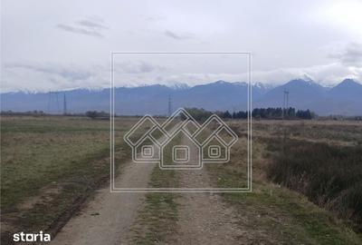 Teren de 2200 mp, în Cârțișoara - 4