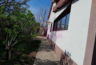 Casă individuală cu 5 camere cu Teren 958 Mp în Tineretului - 33
