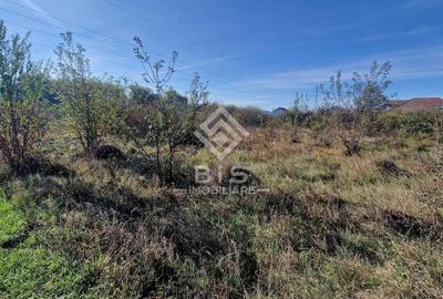 Teren agricol intravilan de 1705 mp, în Unirea - 9