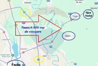 Teren de 6600 mp, în Odobești - 4
