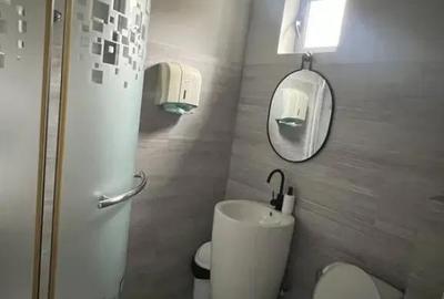 Spațiu comercial, de 440 mp, în Brazda lui Novac - 4