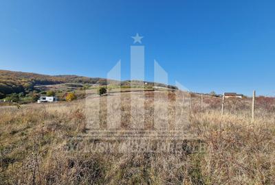 Teren Construcții intravilan de 3900 mp, în Cetate - 1