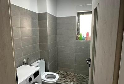 Apartament cu 2 camere decomandat, mobilat în Lujerului - 5