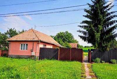 Casă cu 2 camere cu Teren 4600 Mp în Dedrad - 3