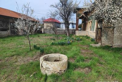 Casă cu 2 camere cu Teren 1500 Mp în Brânceni - 1