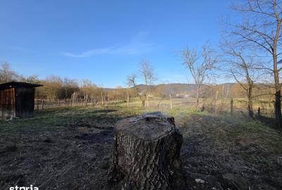 Casă cu 4 camere cu Teren 1887 Mp în Burjuc