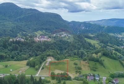 Teren Construcții intravilan de 2058 mp, în Dâmbovicioara - 17