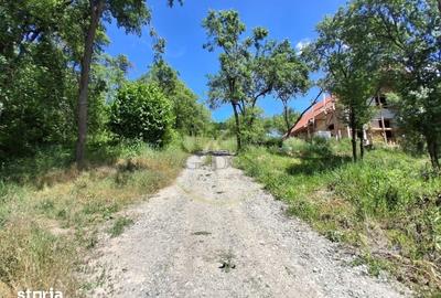 Teren de 1000 mp, în Baciu