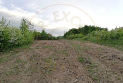 Teren Construcții intravilan de 2000 mp, în Moșoaia - 1