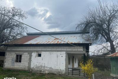 Casă cu 6 camere cu Teren 5000 Mp în Roești