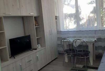 Garsonieră decomandată în Agrieș - 6