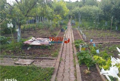 Casă cu 4 camere cu Teren 1377 Mp în Cetate