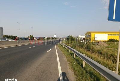 Teren de 11600 mp, în Ghiroda - 5
