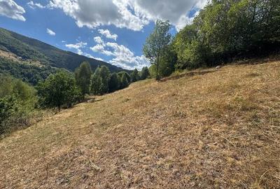 Teren de 945 mp, în Muntele Rece