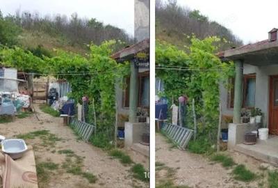 Casa si teren-com Voineasa, Jud Olt - 2