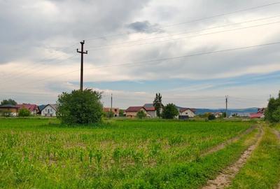 Teren Construcții intravilan de 4000 mp, în Hărman - 4