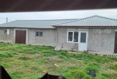 Casă cu 8 camere cu Teren 180000 Mp în Pietroiu - 3