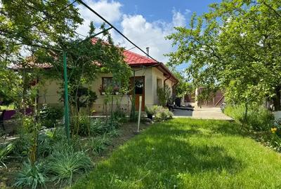 Casă cu 3 camere cu Teren 4000 Mp în Letca Nouă - 1