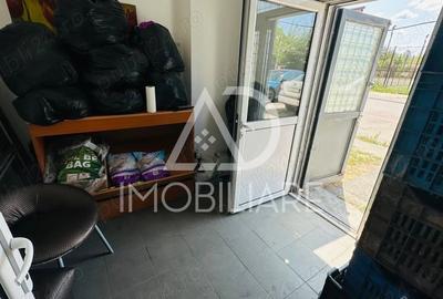 Spațiu comercial, de 33 mp, în Plopilor - 6