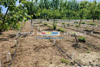 Teren in Poienari Apostoli, 21 E mp, Avantajos, DN1, 34.500 euro - 4