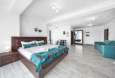 Structura Generoasa Mobilier Inclus - 3