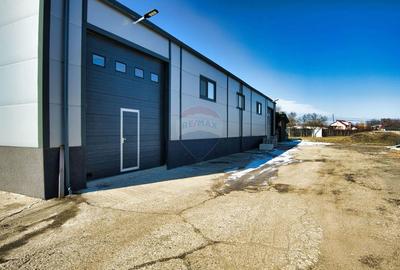 Hale industriale de inchiriat in Tg Neam? - 20