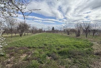 Casă cu 3 camere în Central - 6