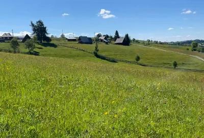 Teren de 17434 mp, în Măguri - 2