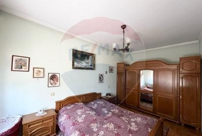 Casa str. Progresului , Sebes, destinatie : uni/multifam... - 16