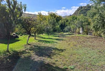 Vand casa in satul Valea Lupului/Patarlagele Buzau - 7