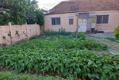 Casa mare de vanzare in Calea Sagului - 2