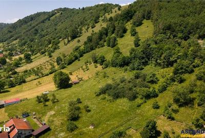 Spațiu comercial, în Județean - 15