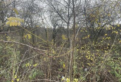 Teren in suprafata de 2165 mp cu front de 30 ml - 5