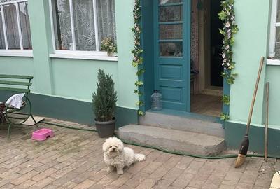 Casă cu 4 camere în Petrovaselo - 2