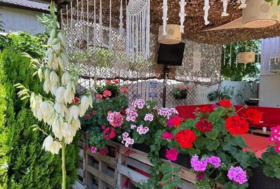 Ultracentral Pensiune Costinesti 19 Camere - 4