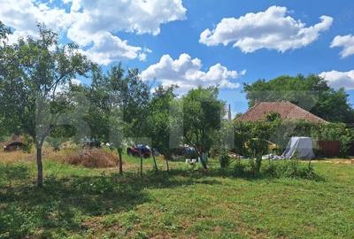 Casa cu teren intravilan, 4600 mp, investiitii/dezvoltare! - 1