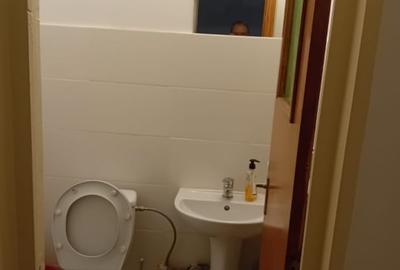 Apartament cu 3 camere decomandat, mobilat în Parcul Circului - 9