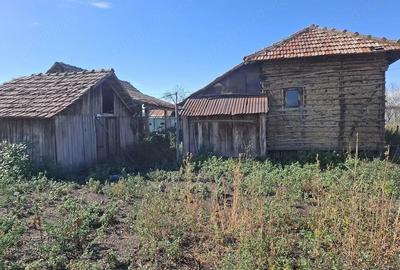 Casă cu Teren 3900 Mp în Scăpău - 3