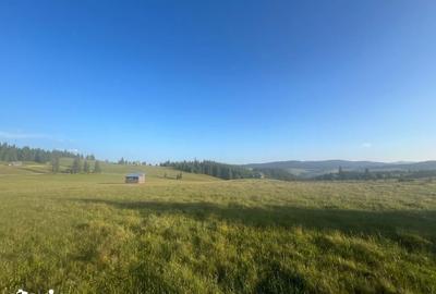 Teren de 500000 mp, în Ciocănești - 8