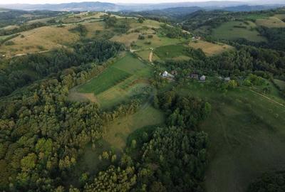 Preluca Noua jud. MARAMURES TEREN DEOSEBIT DE VANZARE - 11