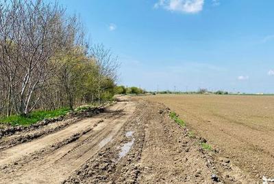 Teren de 7800 mp, în Central - 7