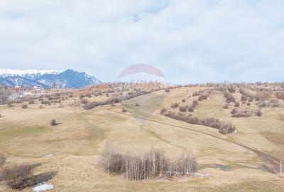 Teren Construcții intravilan de 4500 mp, în Tohanu Nou - 13