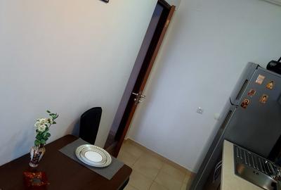 Garsonieră decomandată, mobilată în Găvana 3 - 9