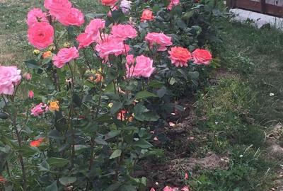 Spațiu comercial, în Vânători - 4