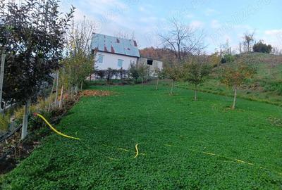 Teren, 1665 mp, casa veche, Mioveni - 3